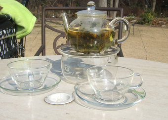 2009.02.08-1.jpg