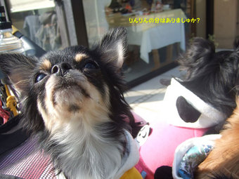 2009.02.08-2.jpg