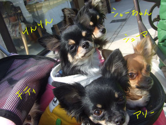 2009.02.08-4.jpg