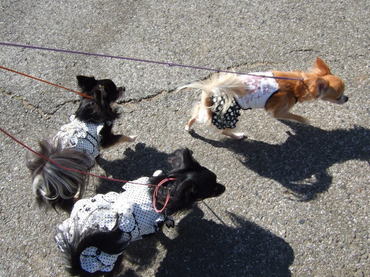 2009.10.11-2.jpg