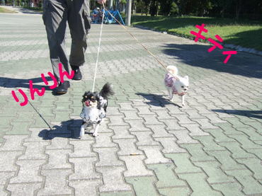 2009.10.11-5.jpg