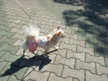 2009.10.11-6.jpg