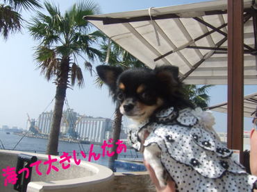 2009.10.17-4.jpg