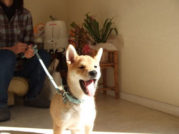 2009.12.06-1.jpg