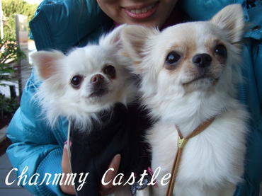 2009.12.06-2.jpg