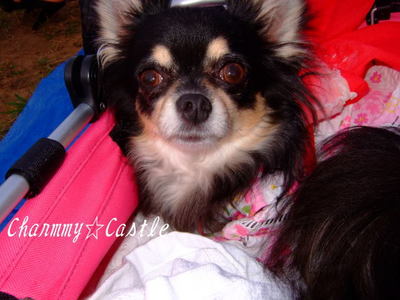 2010.08.09-2.jpg