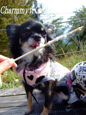 2010.10.23-11.jpg
