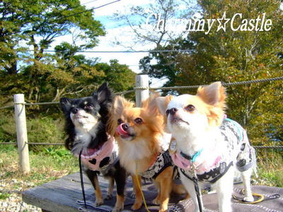 2010.10.23-12.jpg