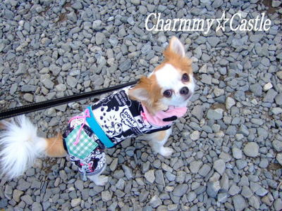 2010.10.23-13.jpg
