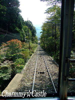 2010.10.23-3.jpg