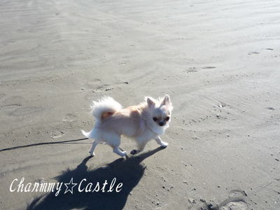 2010.12.23-4.jpg
