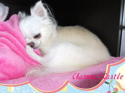 2011.01.03-2.jpg