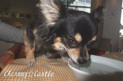 2011.02.28-1.jpg