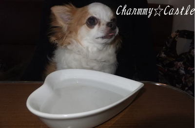 2011.02.28-4.jpg