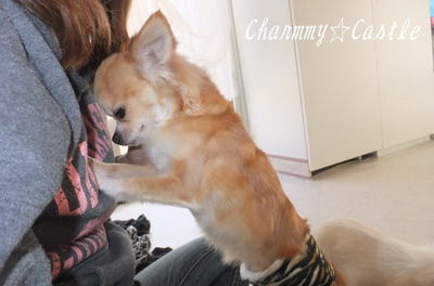 2011.03.04-1.jpg