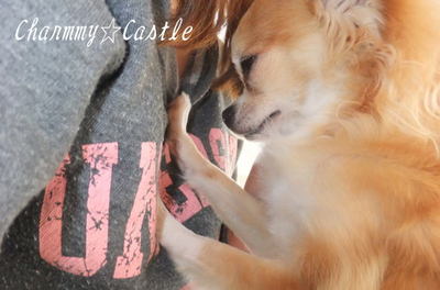 2011.03.04-2.jpg