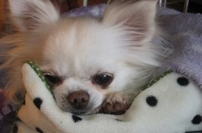 2011.03.09-3.jpg