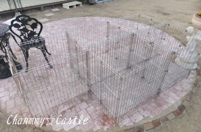 2011.03.12-2.jpg