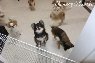 2011.03.22-2.jpg