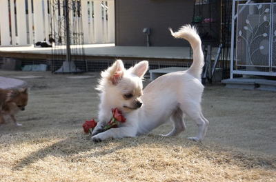 2011.03.24-12.jpg