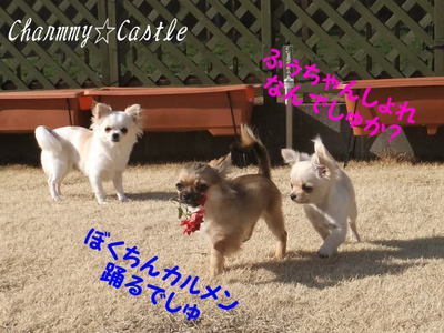2011.03.24-2.jpg