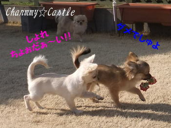 2011.03.24-3.jpg