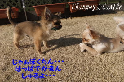 2011.03.24-6.jpg