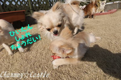 2011.03.24-7.jpg