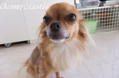 2011.03.26-5.jpg