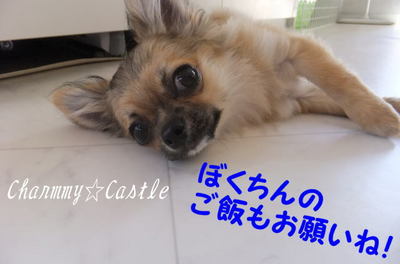 2011.03.27-3.jpg