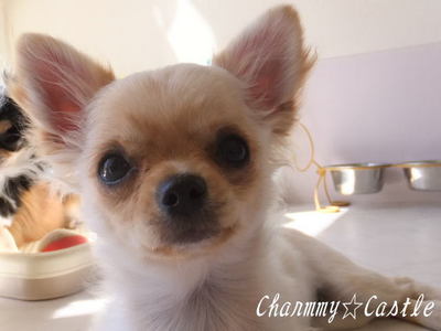 2011.03.30-4.jpg