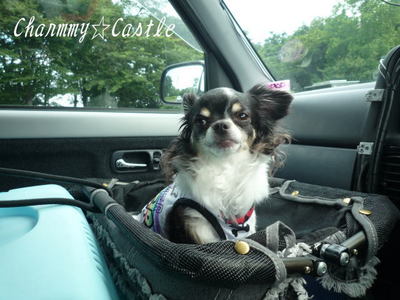 2011.07.05-1.jpg