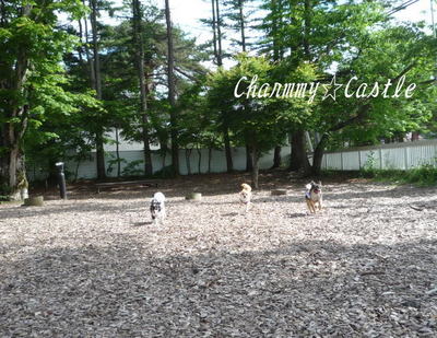 2011.07.05-2.jpg