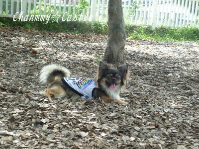 2011.07.05-6.jpg