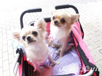 2011.08.07-1.jpg