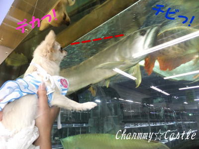 2011.08.07-2.jpg