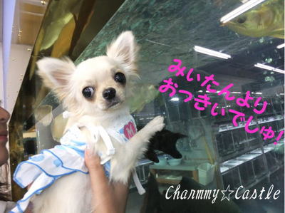 2011.08.07-3.jpg