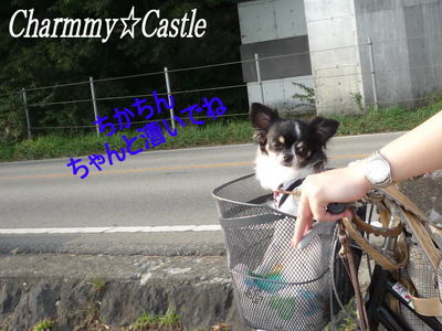 2011.08.20-4.jpg