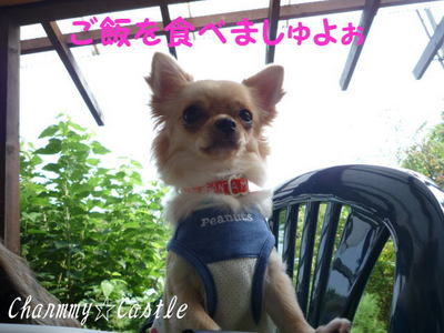 2011.08.23-1.jpg