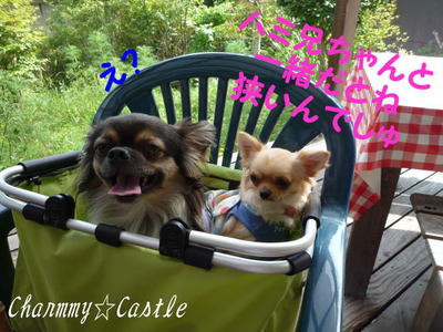 2011.08.23-2.jpg