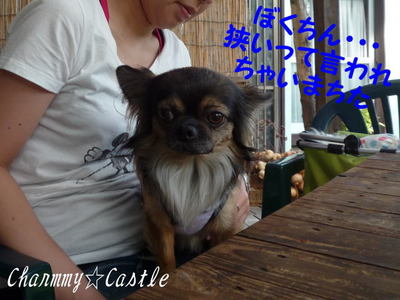 2011.08.23-3.jpg