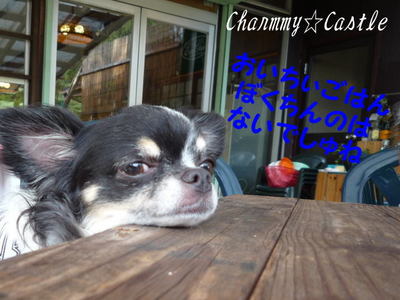 2011.08.23-4.jpg