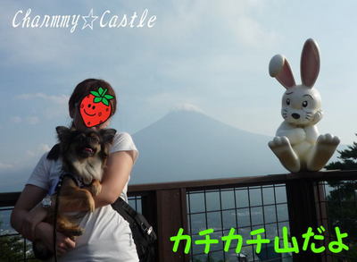 2011.08.23-5.jpg