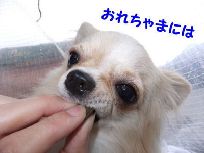2011.09.04-3.jpg