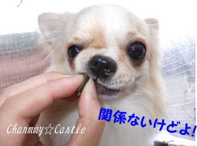 2011.09.04-4.jpg