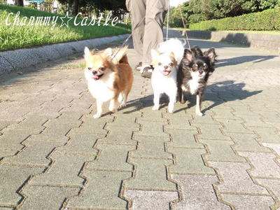 2011.09.07-2.jpg