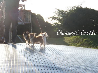 2011.09.07-3.jpg