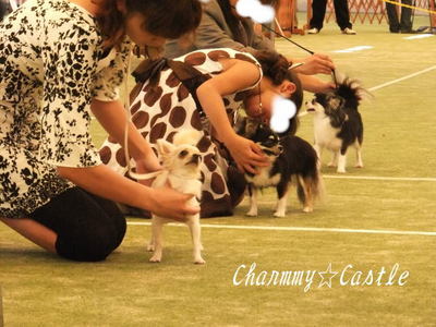 2011.09.13-1.jpg