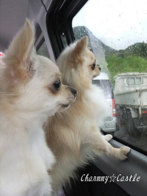 2011.09.16-2.jpg