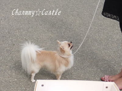 2011.09.20-1.jpg